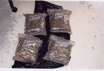 Picture of our 2007 Drug Seizure